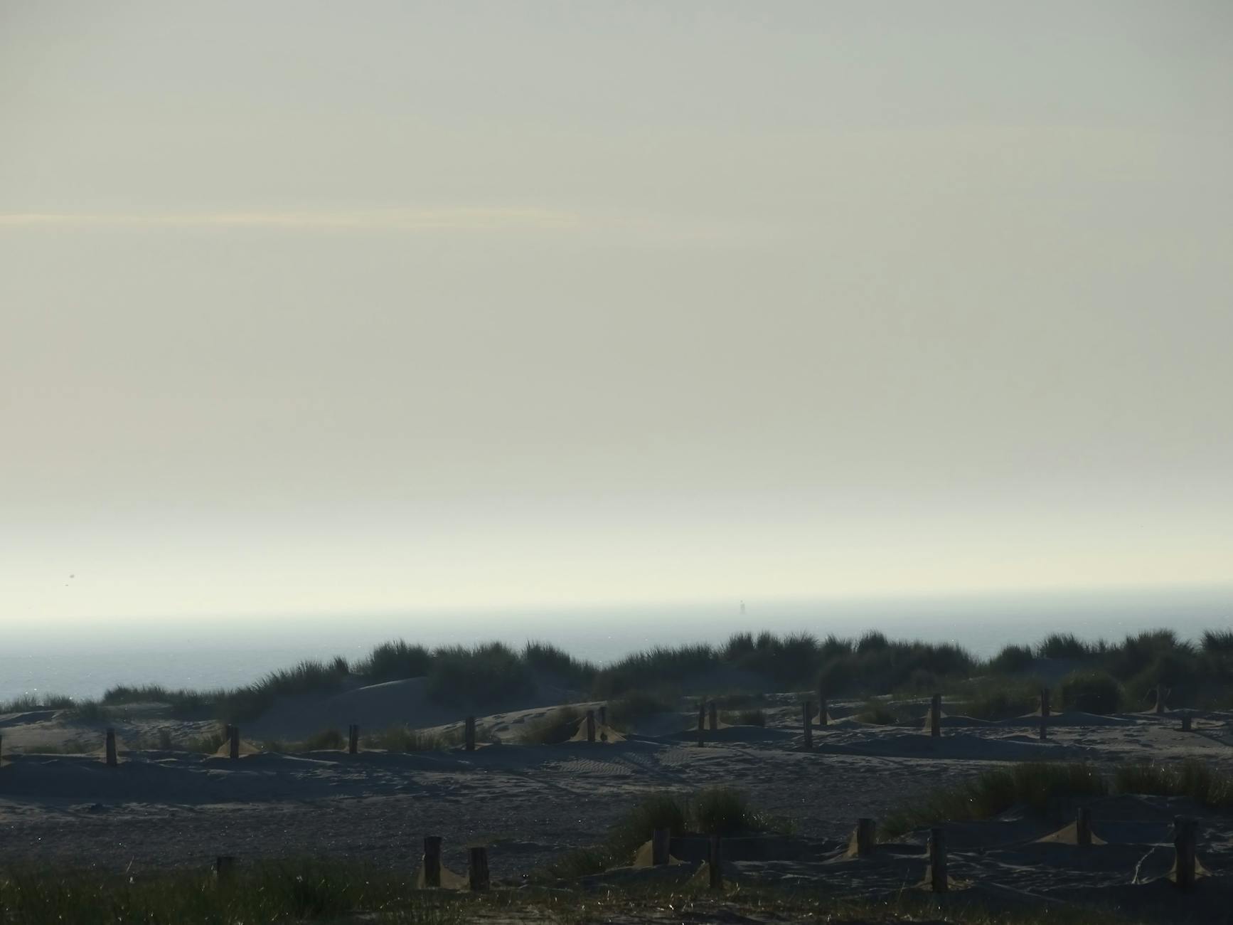 Serene coastal scene featuring sandy dunes and a distant horizon under a soft sky.