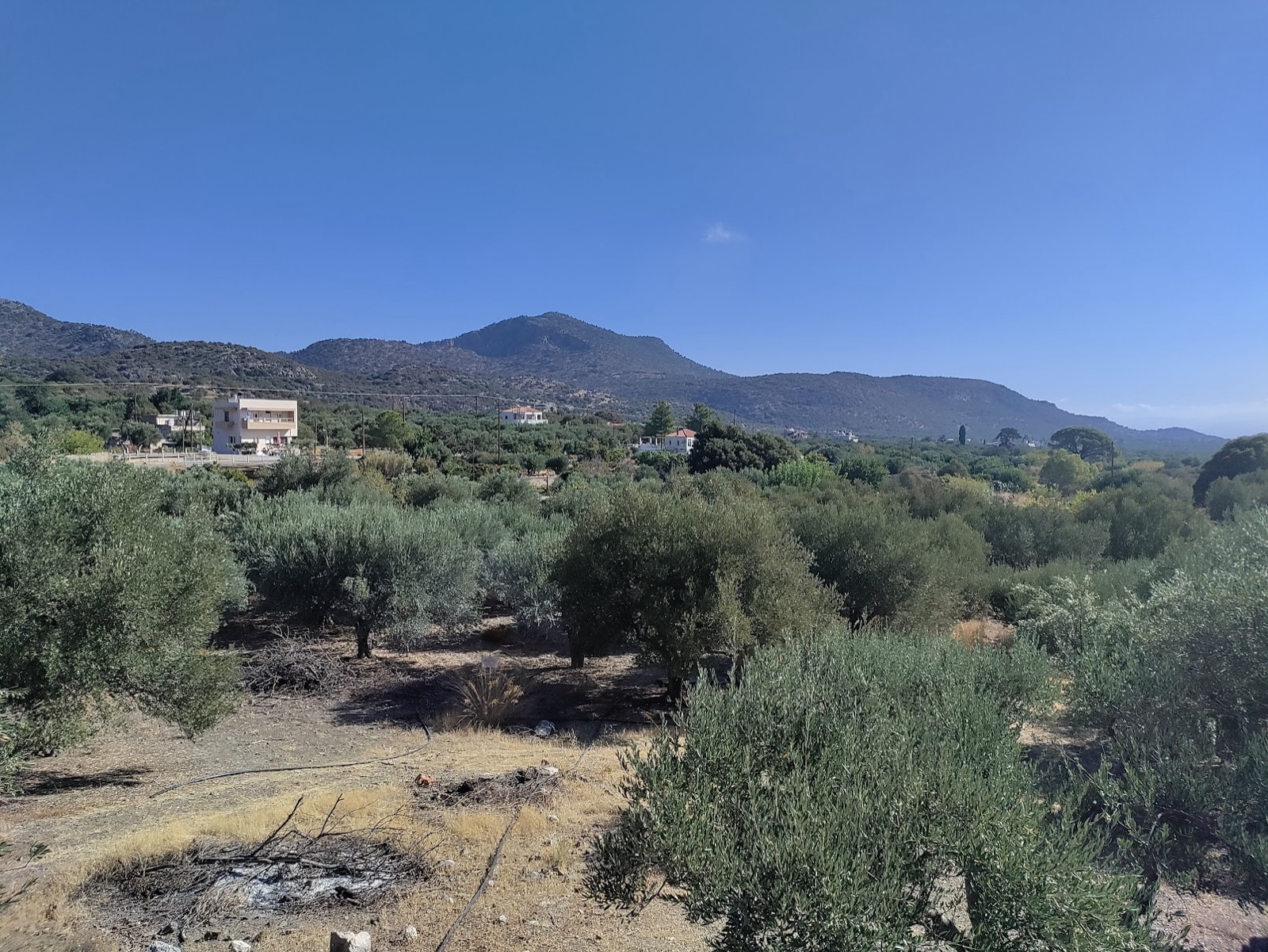 Het groene achterland van Midden-Kreta